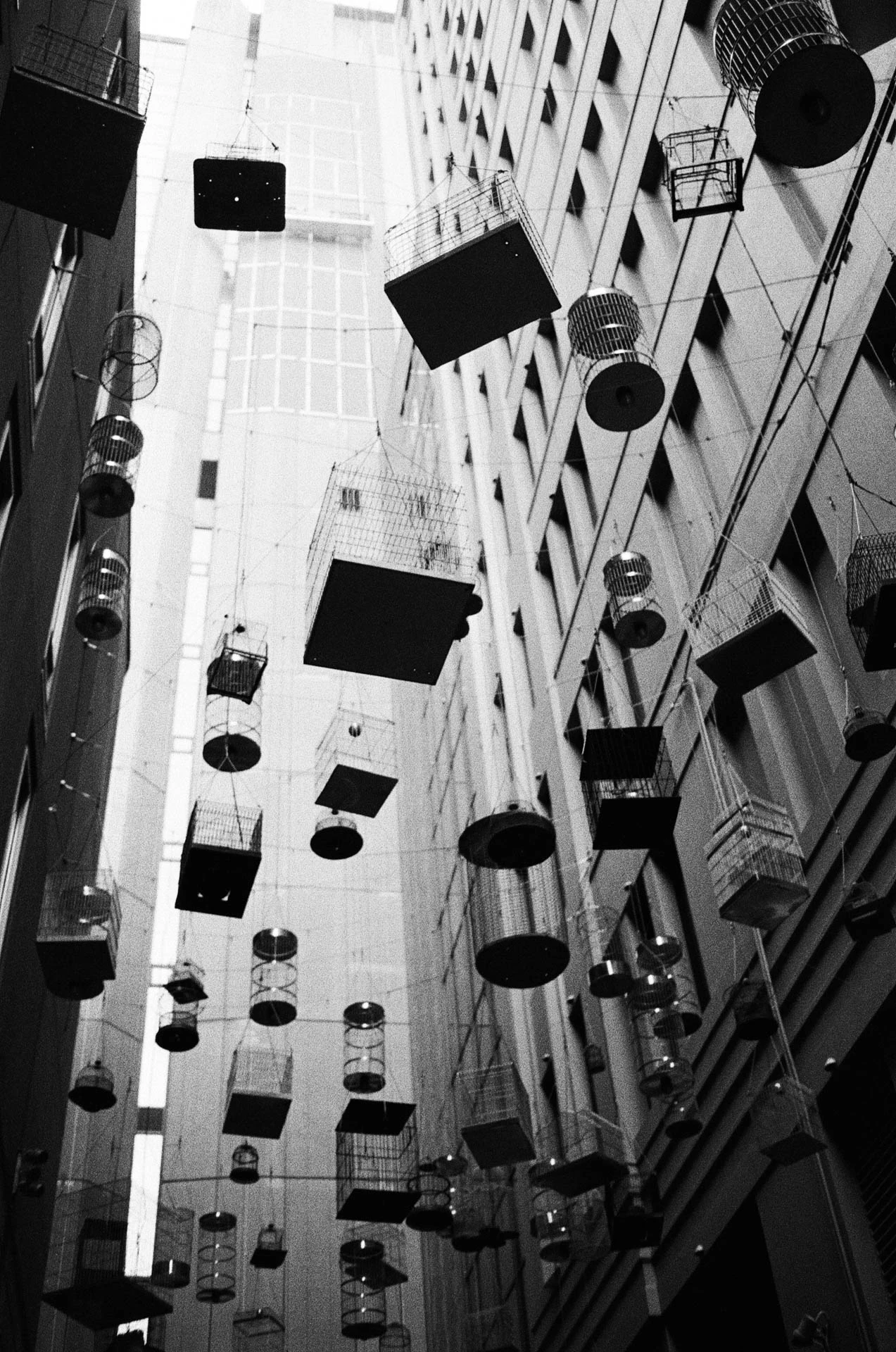Bw Film 1